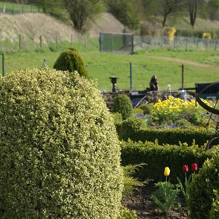 Bemelmans שחין אופ חול