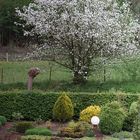 호텔 Bemelmans 쉰옵게울